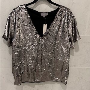 Anthropologie Silver Sequin Short Sleeve V-Neck Top